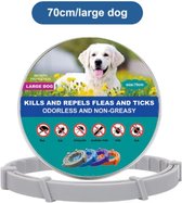Boeste Anti-vlooien- en tekenband voor Grote Honden - 8 Maanden Bescherming