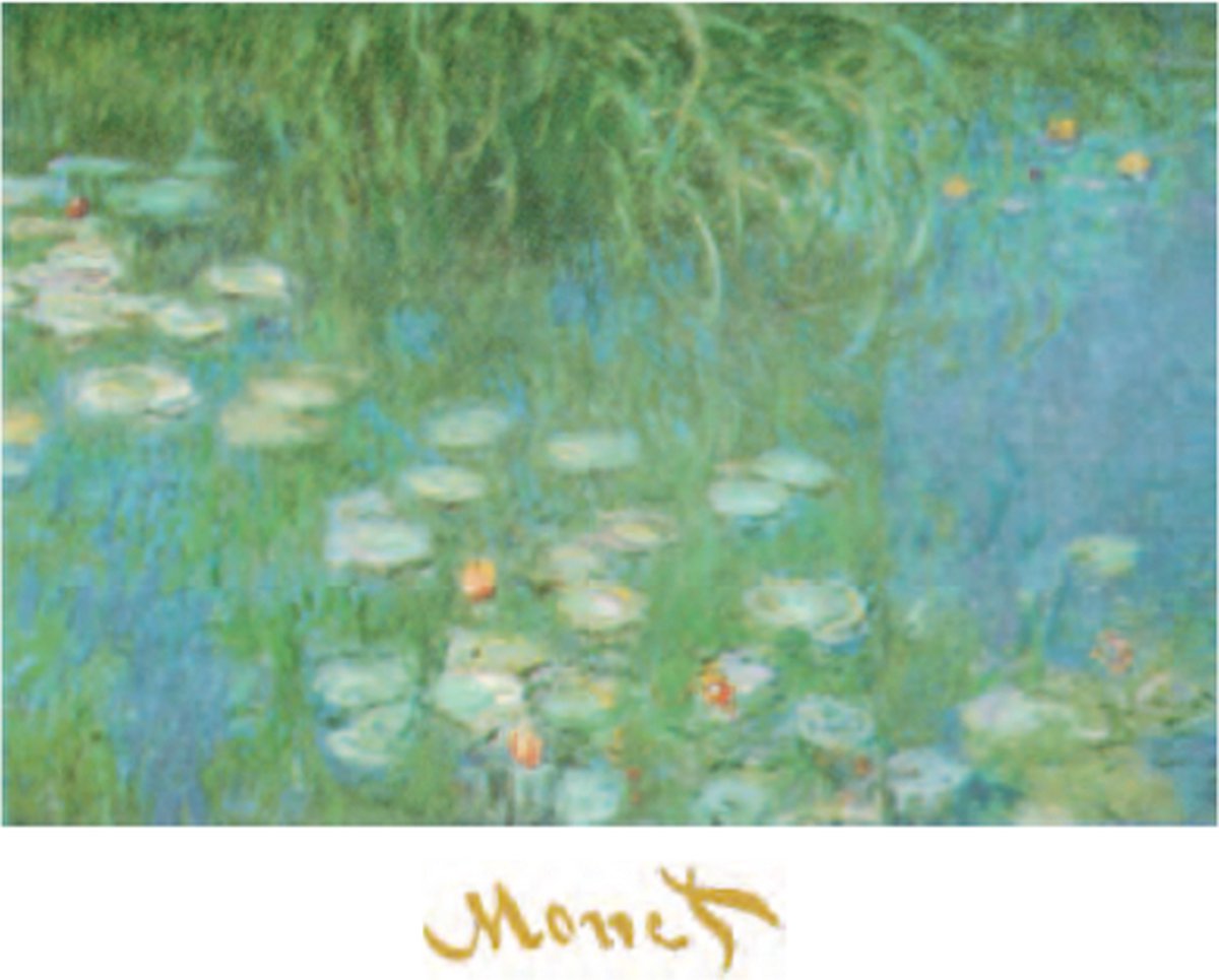 Catch Projecten Mini kunstposter - Claude Monet - Waterlelies van de Orangerie in Giverny - 24x30 cm Multicolor