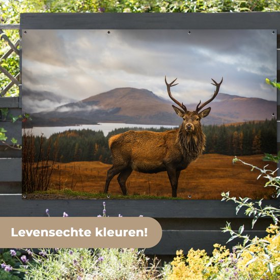 Décoration murale Cerf - Berg - Water - Paysage - Animaux - Arbres - 180x120 cm - Poster jardin - Toile jardin - Poster extérieur