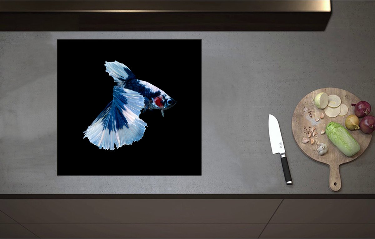 Inductieplaat Beschermer - Blauw Gevlekte Siamese Kempvis tegen Zwarte Achtergrond - 58x55 cm - 2 mm Dik - Inductie Beschermer - Bescherming Inductiekookplaat - Kookplaat Beschermer van Wit Vinyl