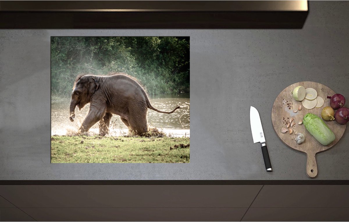 Inductieplaat Beschermer - Baby Olifant Spelend in Meer in Regenwoud - 60x55 cm - 2 mm Dik - Inductie Beschermer - Bescherming Inductiekookplaat - Kookplaat Beschermer van Wit Vinyl