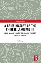 Chinese Linguistics-A Brief History of the Chinese Language III