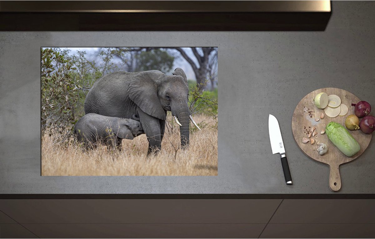 Inductieplaat Beschermer - Babyolifant drinkend bij Moederolifant tussen Hoge Droge Grassen - 71x52 cm - 2 mm Dik - Inductie Beschermer - Bescherming Inductiekookplaat - Kookplaat Beschermer van Zwart Vinyl
