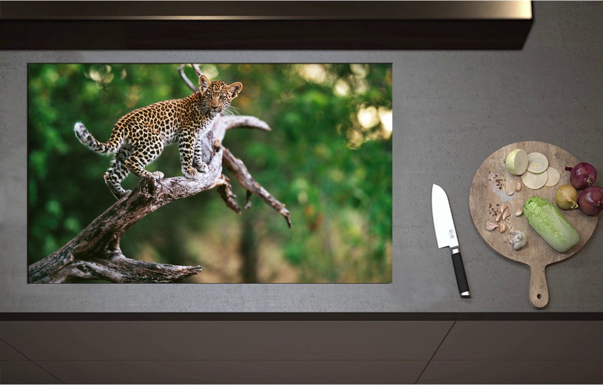 Inductieplaat Beschermer - Baby Luipaard lopend over Smalle Tak in het Bos - 90x55 cm - 2 mm Dik - Inductie Beschermer - Bescherming Inductiekookplaat - Kookplaat Beschermer van Zwart Vinyl