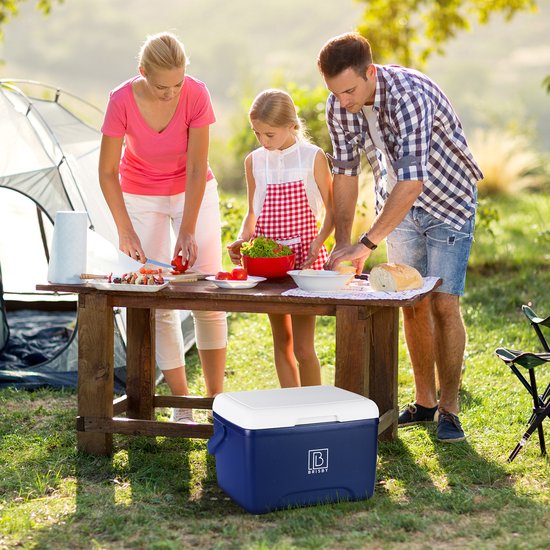 Brisby Kleine Koelbox 8 Liter – Blauw – Tot 40 uur isolatie – 2 koelelementen vergrendeld in deksel – Compact voor lunch en onderweg – Frigobox van Brisby — afbeelding 2