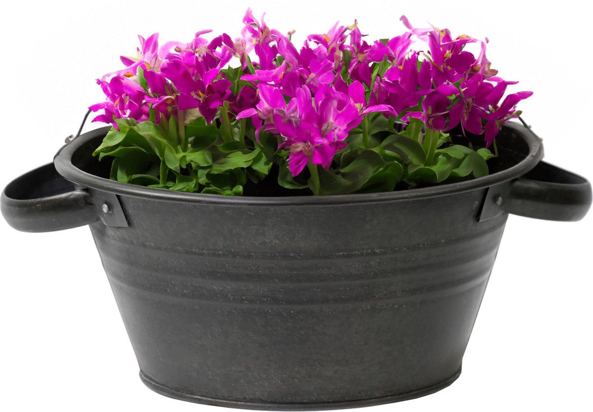 Goedkoopste Mega Collections Teil Bloempot/plantenpot - zink - zwart - rond - D40 x H14 cm