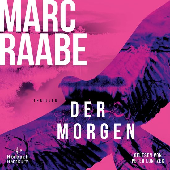Der Morgen (Art Mayer-Serie 1) - cover