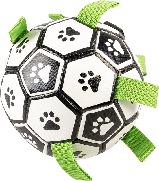 Rosewood Jolly Doggy Catching And Playing Football For Dogs, Bright