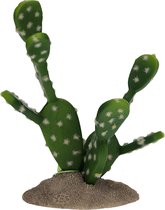 Terra Della - Reptielen - Vijgencactus 15,5x9x16,5cm Groen