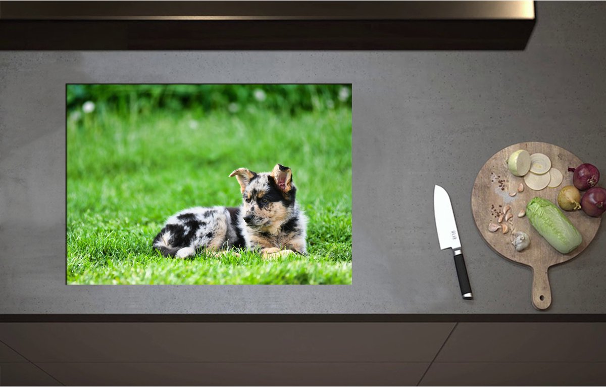 Inductieplaat Beschermer - Australische Herder Puppy Liggend in het Groene Grasveld - 71x50 cm - 2 mm Dik - Inductie Beschermer - Bescherming Inductiekookplaat - Kookplaat Beschermer van Zwart Vinyl