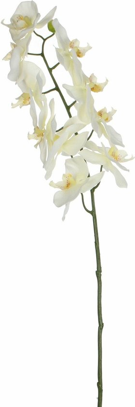 Mica Decorations Kunstbloem Orchidee tak - wit - 71 cm - Kunst zijdebloemen