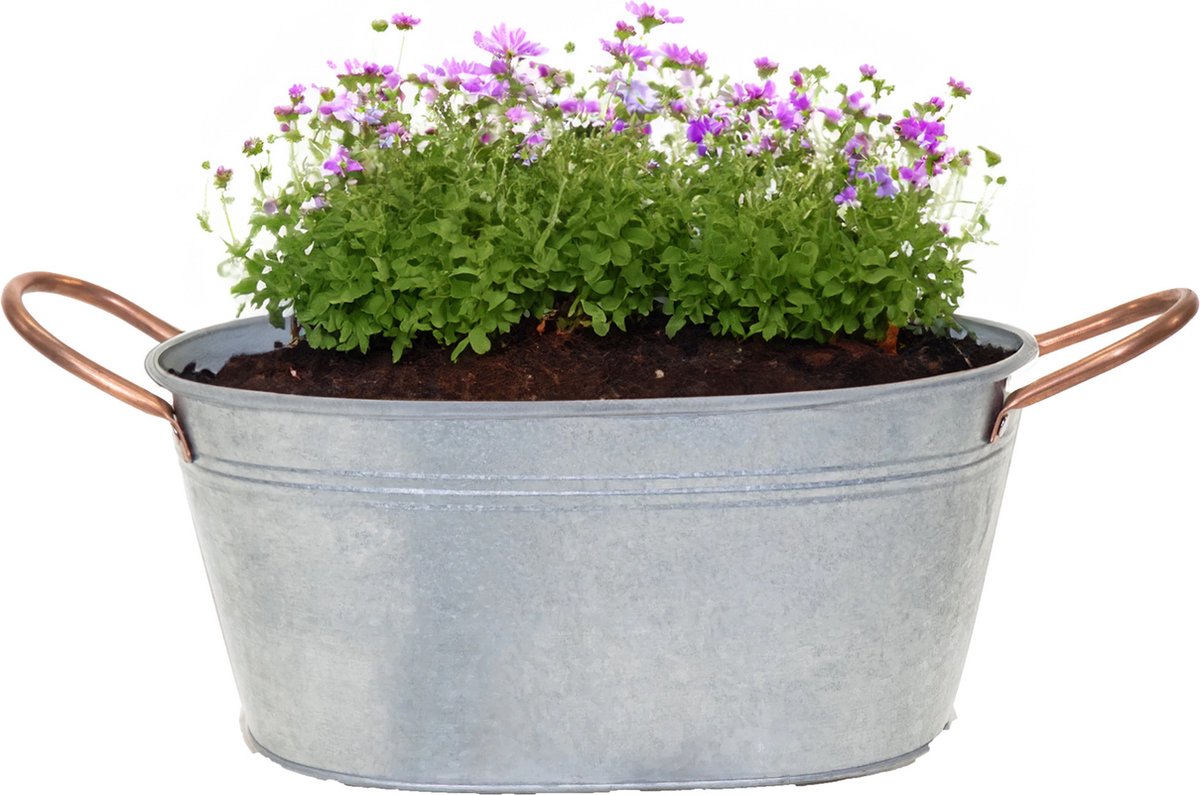 Goedkoopste Mega Collections Teil/plantenpot/bloempot Jean - ovaal - zink - zilver - L27 x D18 X H12 cm