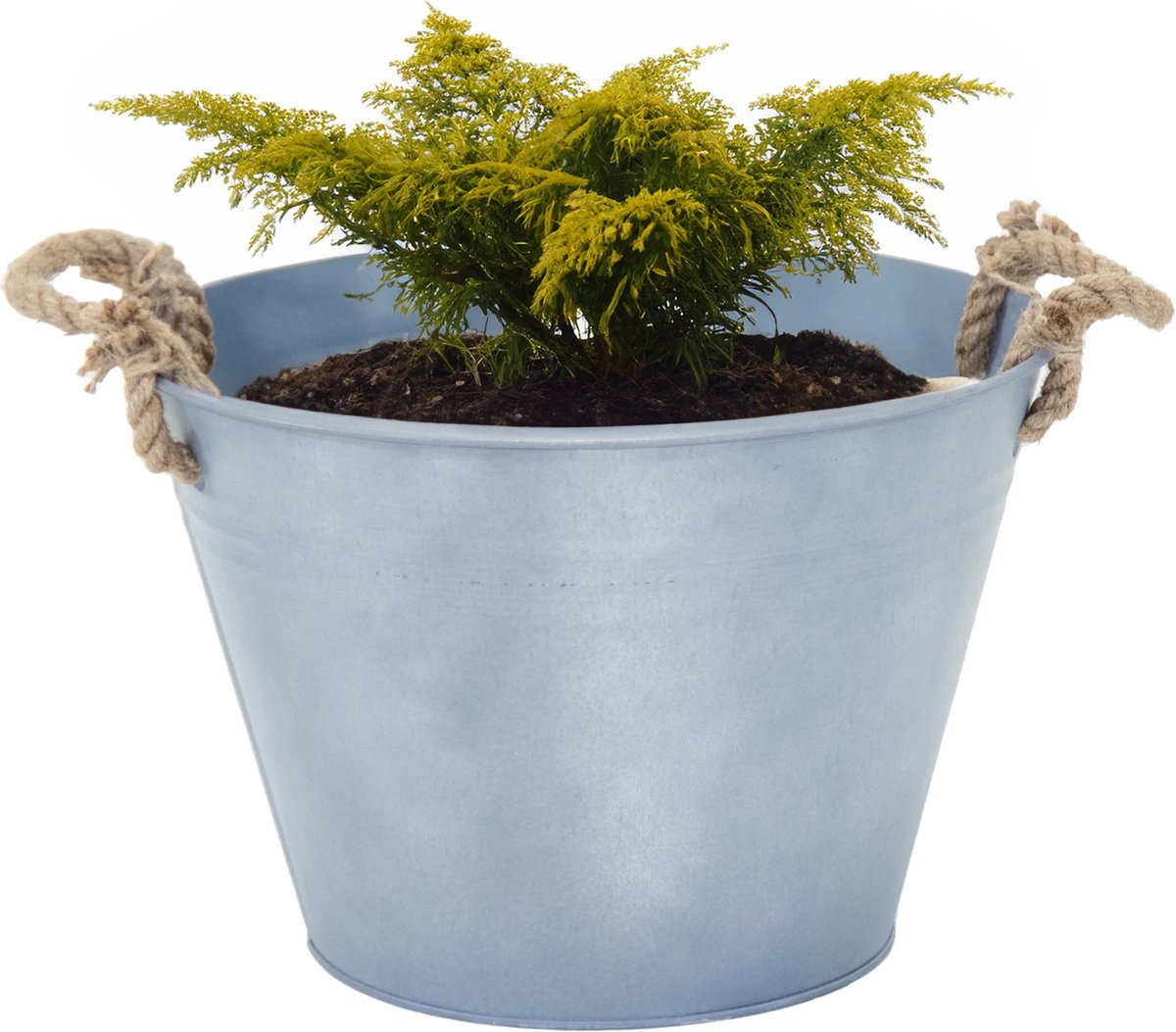 Goedkoopste Mega Collections plantenpot/bloempot Old Rope - zink - zilver - D31 X H21 cm