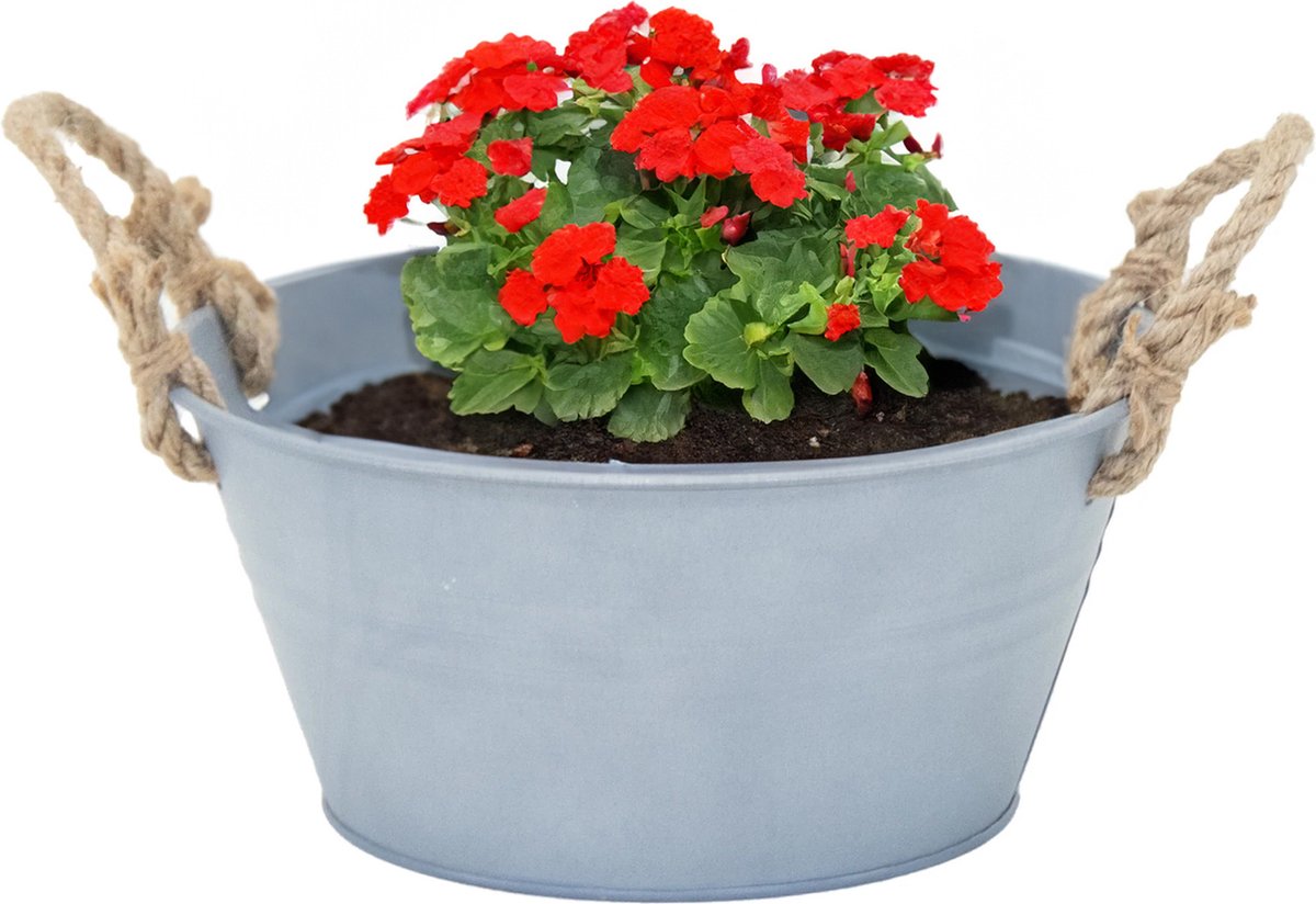 Goedkoopste Mega Collections Teil/plantenpot/bloempot Old Rope - zink - zilver - D23 X H11 cm