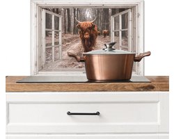 Spatscherm keuken 60x40 cm - Kookplaat achterwand Doorkijk - Schotse Hooglander - Raam - Muurbeschermer - Spatwand fornuis - Hoogwaardig aluminium