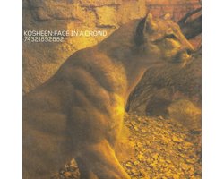 Kosheen – Face In A Crowd