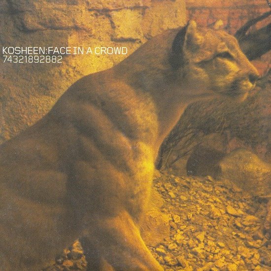 Kosheen – Face In A Crowd