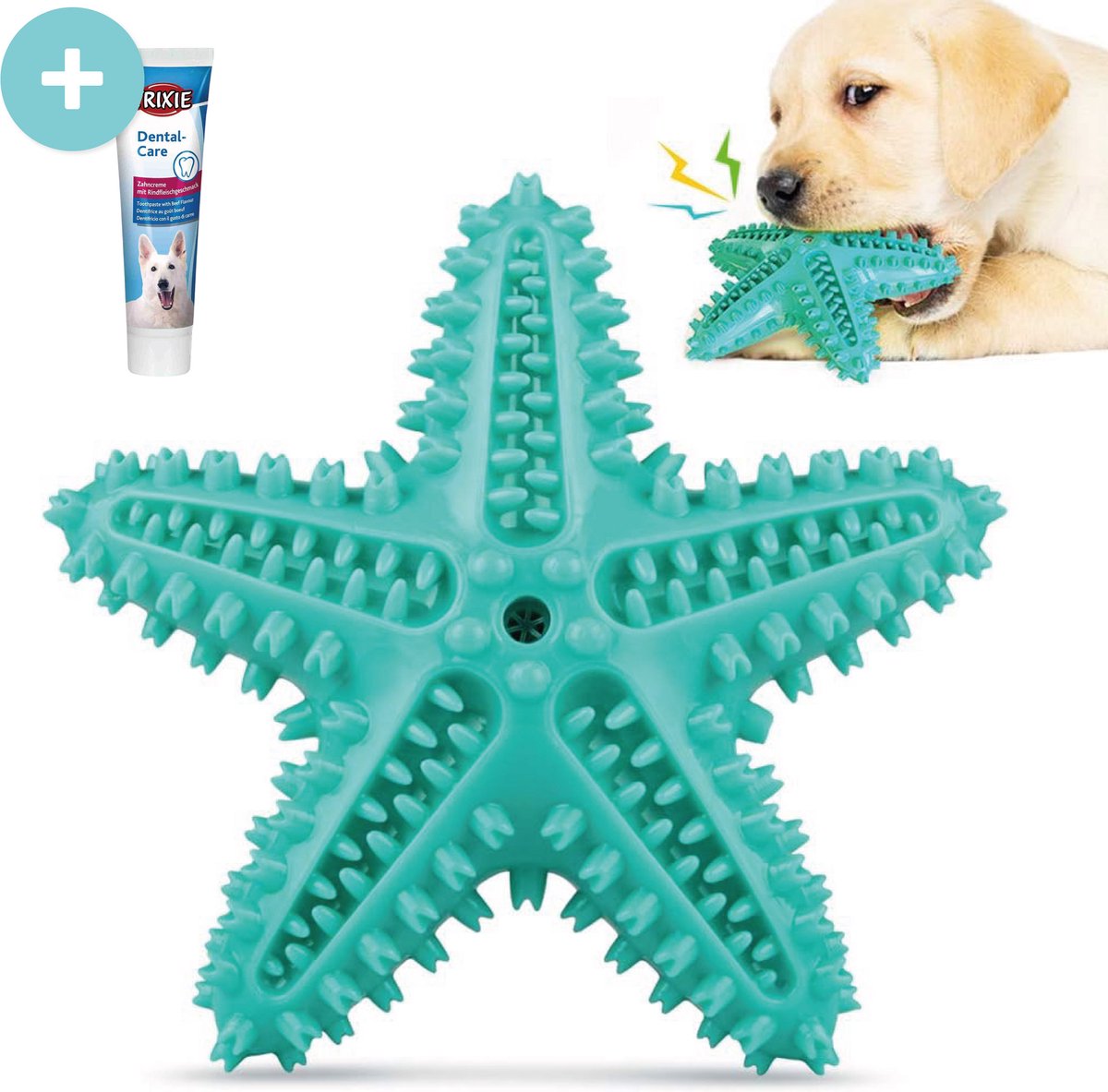 Tandenborstel + TANDPASTA Hond Piep Honden Speelgoed Dog Toy - Zeester Blauw Tandverzorging Kauwbotten Hondenspeelgoed Hondenbot Kauwstaaf Tanden Puppy Hondenspeeltje Sterk Kauwspeelgoed - Dutchwide