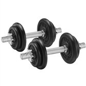 Dumbbells - Dumbbells - Dumbbells set - Sport Gewichten - Gewichten - Halters - Halter - Gietijzer - 2 x 20 kg - Zwart - ‎35 x 16 x 16 cm