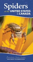 Adventure Quick Guides- Spiders of the United States