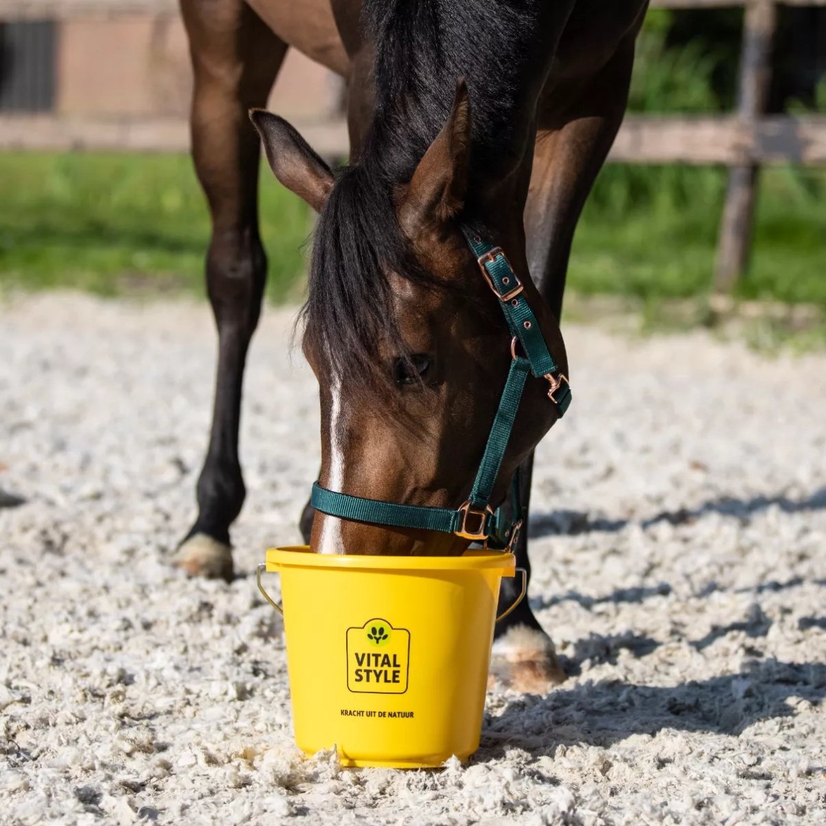 Vitalstyle Vitalstyle Emmer Met Deksel Geel