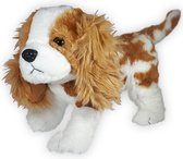 Hond Moos (Bruin/Wit) Cocker Spaniël Pluche Knuffel 32 cm {Boerderij Dierentuin Dieren | Speelgoed Knuffeldier Knuffelbeest voor kinderen jongens meisjes | Dog Animal Puppy Plush Toy}