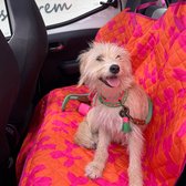 DWAM Autobeschermdeken hond – Hondendeken - Autodeken Hond - Autokleed – Dierenprint – Stof – One size – 139 x 140 cm – Balloon Dog