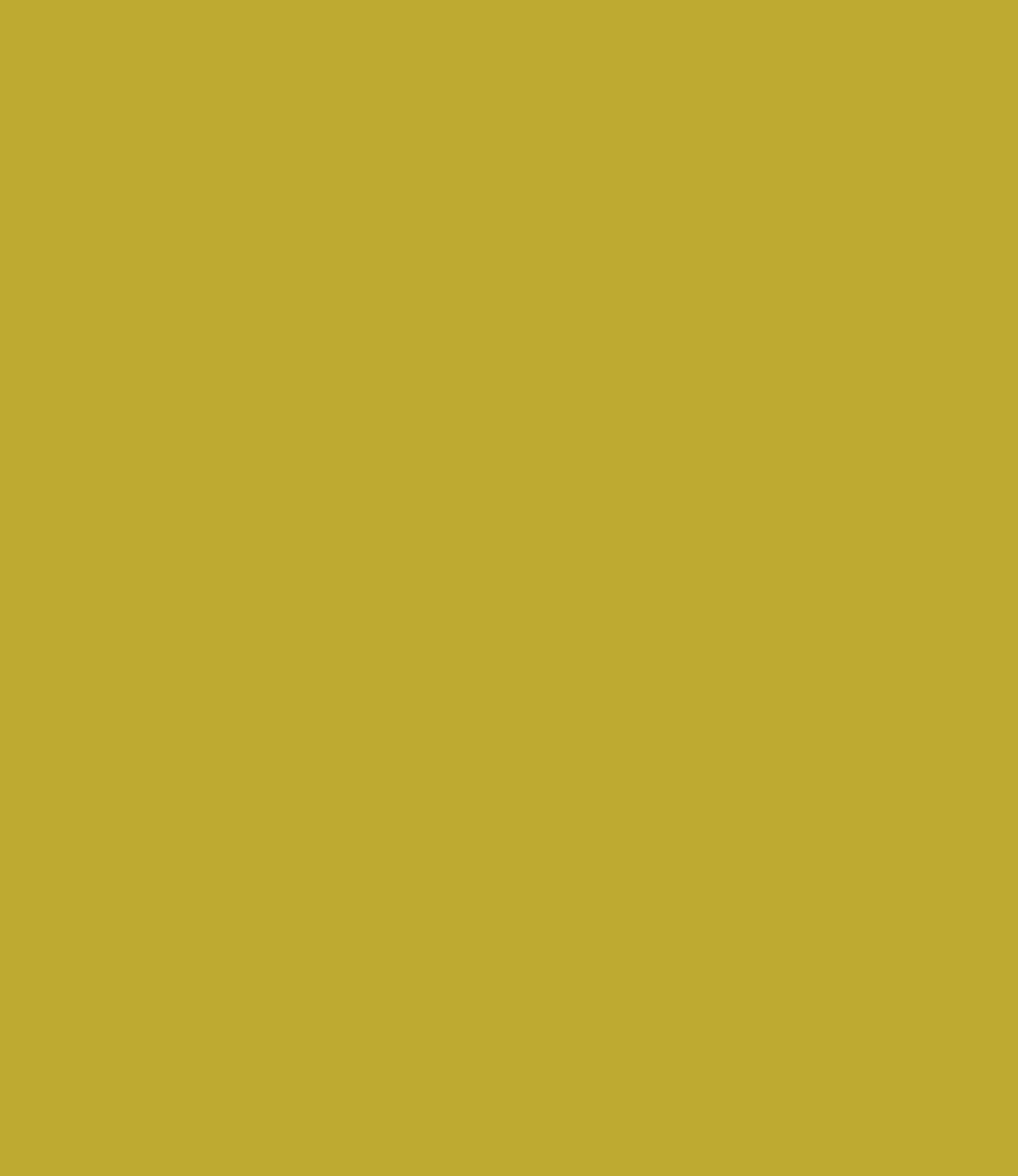 Carte Colori Calcare Kalkverf Curcuma CC119 1 Liter