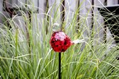 Tuinsteker vogel 90 cm vrolijke kleuren- tuindecoratie - tuinkunst glazen vogel- tuinprikker - tuinpendel - tuinsteker