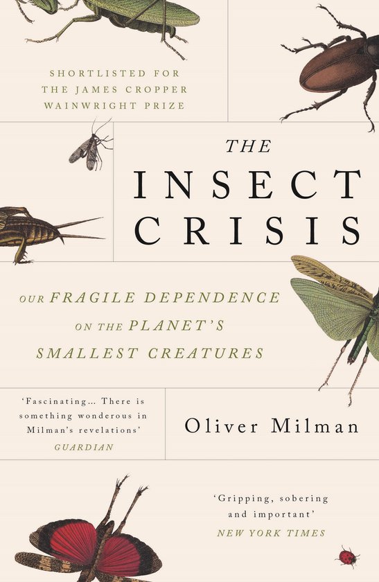 The Insect Crisis - cover