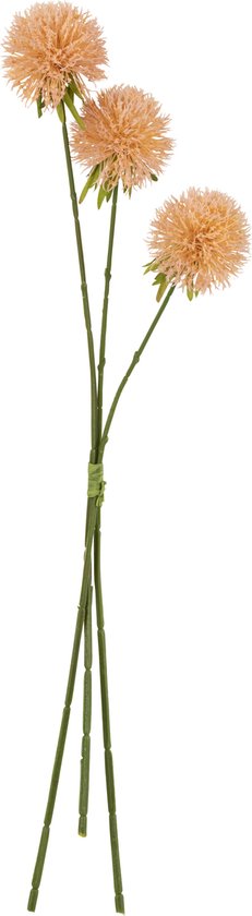 J-Line bloem Allium 3 Stuks - kunststof - roze/perzik - large - 12 stuks