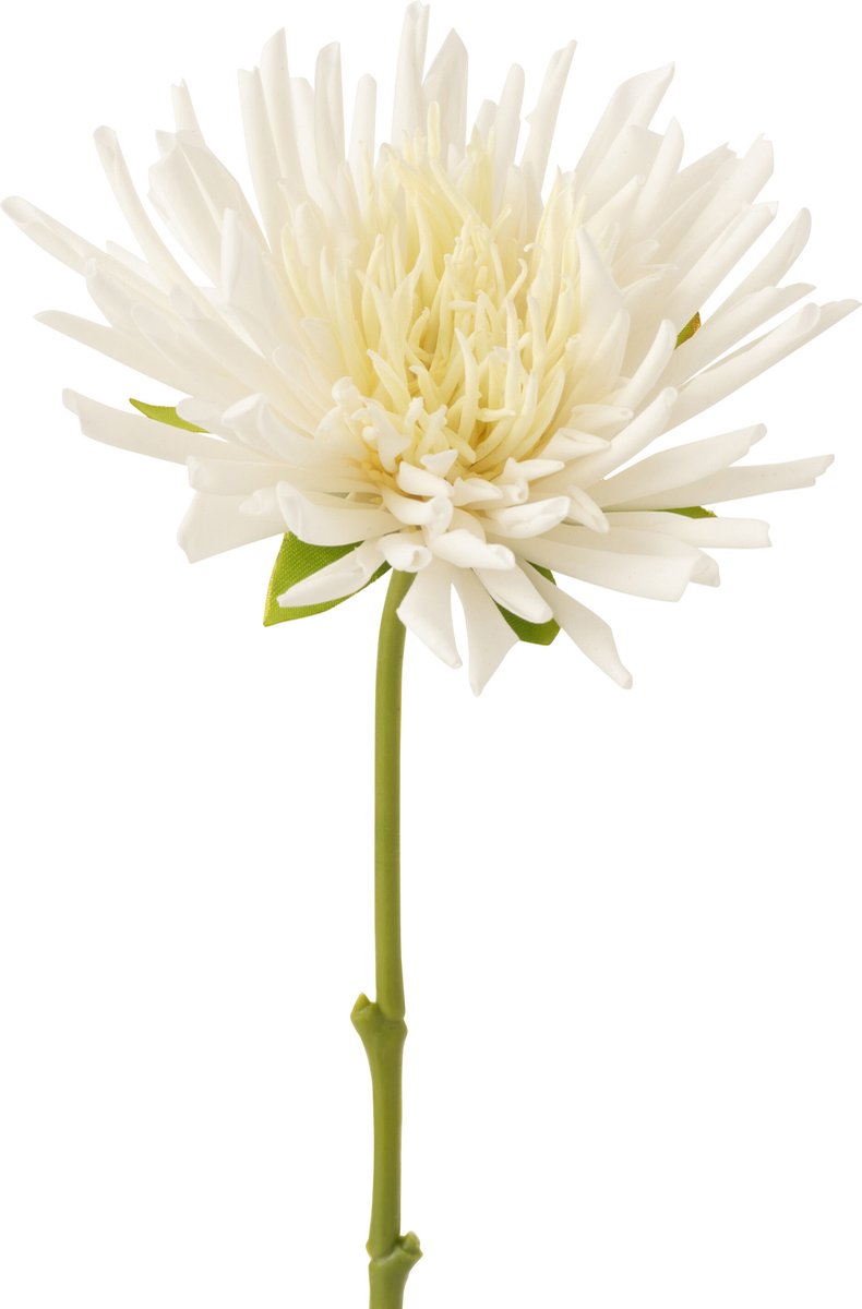 J-Line bloem Chrysant Mini - kunststof - wit - small - 24 stuks