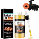 BeautyFit® - Batana Oil - Serum - Haargroei Olie - Alternatief Minoxidil - Incl. Ebook + Scalp Massager - Haar Vitamines - 100% Puur - Biologisch - Wonderolie