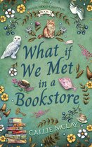 The Breezewood Chapters 1 - What If We Met In A Bookstore