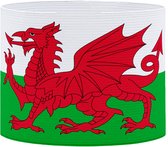 Aanvoerdersband - Wales - XL