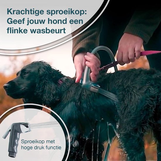 Zwarte hond wordt gewassen met een sproeikop met hoge druk.