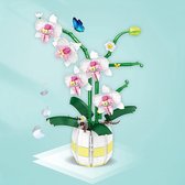 Orchids elegant - Bloemen set - Orchideeën - 616pcs