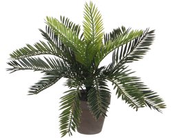 Mica Decorations Kunstplant Cycaspalm - groen - H33 cm - in pot - kamerplant - kantoorplant