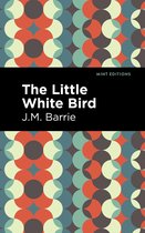 Boek kaft met geometrisch patroon in rood, groen en grijs, met de titel 'The Little White Bird' en auteur J.M. Barrie.