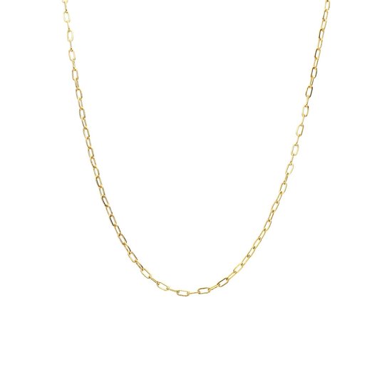 Lucardi Dames Stalen goldplated ketting closed forever 2mm - Ketting - Staal - Goud - 65 cm