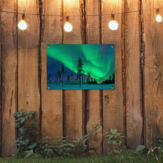 Northern Lights above Sweden Garden poster 60x40 cm - petit - Toile de jardin / Toile d'extérieur / Peintures d'extérieur (décoration de jardin)