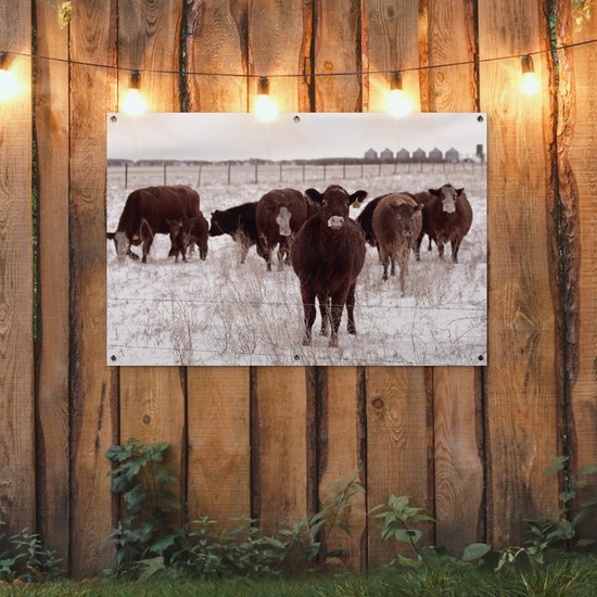 Affiche de jardin Troupeau de vaches dans un champ de neige 120x80 cm - Toile de jardin / Toile d'extérieur / Peintures d'extérieur (décoration de jardin)