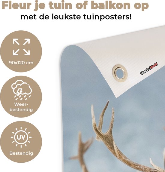 Affiche jardin - Toile jardin - Posters de jardin extérieur - Cerf - Animaux - Neige - Hiver - Paysage - Nature - 90x120 cm - Jardin