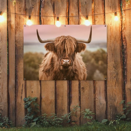 Un Highland coiffé de longues cornes courbées, accroché à une clôture en bois, avec des guirlandes lumineuses au-dessus.