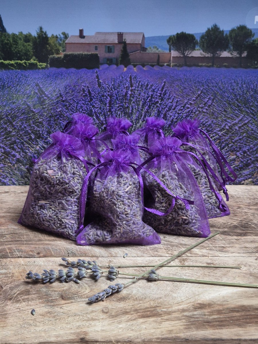 Lavendel geurzakjes met biologische lavendel uit de Provence - 10 stuks à 6 gram paars - Merkloos