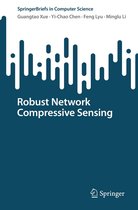 SpringerBriefs in Computer Science - Robust Network Compressive Sensing