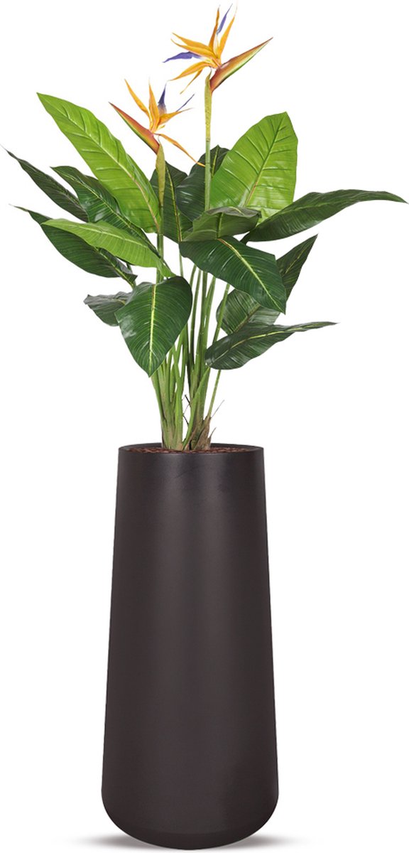 HTT Decorations Kunstplant Strelitzia in Lucas H195 cm Zwart