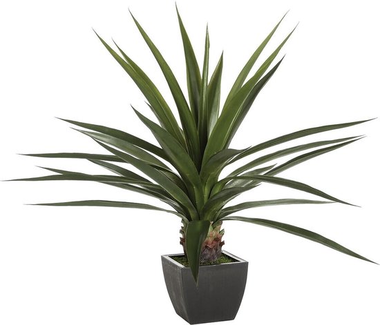 Glazen pot met kunstplant aanbieding bij Action