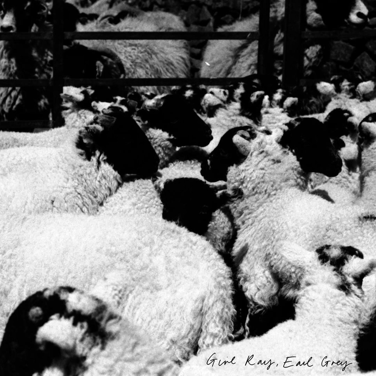 Girl Ray - Earl Grey (LP)