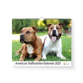 American Staffordshire Kalender - Jaarkalender 2025 - 35x24cm - 300gms - Spiraalgebonden - Ophanghaakje